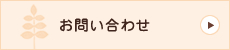 会社概要・お問い合わせ